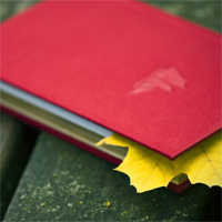 Soạn bài lớp 8: Luyện tập lựa chọn trật tự từ trong câu