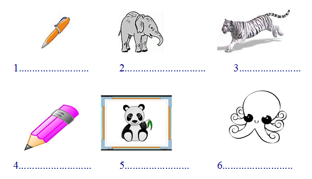 Đề kiểm tra giữa kì 2 môn Tiếng Anh lớp 2