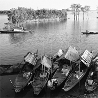 Soạn bài lớp 9: Bến quê