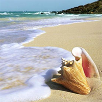 Soạn bài lớp 9: Mây và Sóng