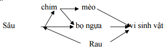 Đáp án đề kiểm tra giữa học kì 2 môn Sinh học lớp 9