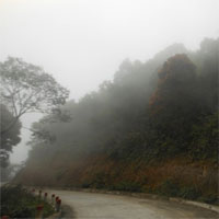 Giáo án bài Đi đường