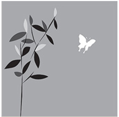 Đoán tính cách siêu chuẩn bằng cách chọn một cành cây