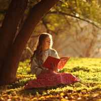 Từ vựng tiếng Anh về Cây cối