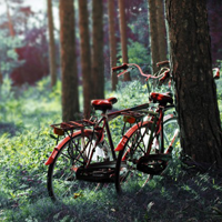 Từ vựng tiếng Anh về Đặc điểm và Thuật ngữ Địa lý