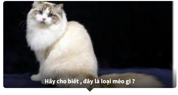 đoán tên tiếng anh của các loài động vật