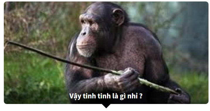 đoán tên tiếng anh của các loài động vật