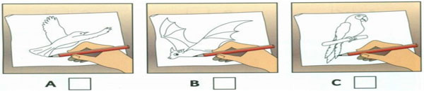 Đề kiểm tra học kỳ 1 môn tiếng Anh lớp 10 có đáp án  