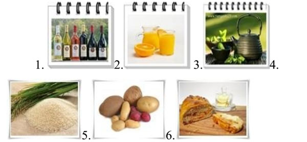 Đề kiểm tra học kỳ 1 môn tiếng Anh lớp 10 có đáp án  