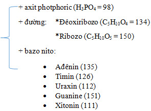 Bài tập sinh học lớp 10 có đáp án chi tiết