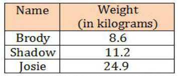 Đề thi Violympic Toán Tiếng Anh lớp 5 vòng 6
