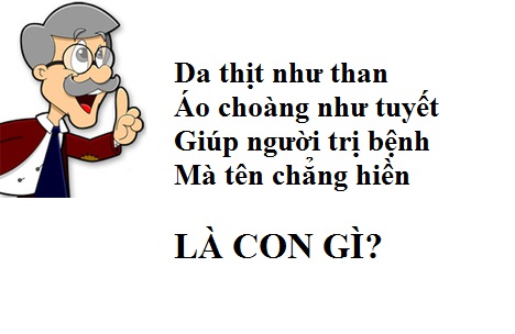 Câu đố vui về ngày Quốc tế Phụ nữ 8/3