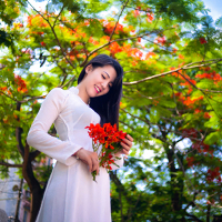 Đề thi học kì 2 môn Toán lớp 11 trường THPT Đa Phúc, Hà Nội năm 2015