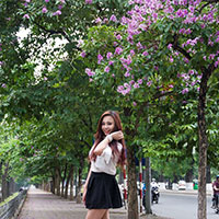 Đề thi học kì 2 môn Toán lớp 11 trường THPT Phan Ngọc Hiển, Cà Mau năm 2015