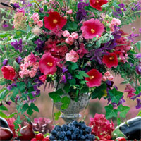 Giáo án mầm non đề tài: Muôn sắc hoa đẹp