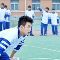 Soạn bài lớp 8: Văn bản tường trình