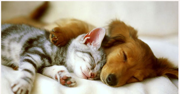 Muốn biết vì sao mình vẫn ế, hãy trả lời nhanh mấy câu