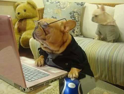 Muốn biết vì sao mình vẫn ế, hãy trả lời nhanh mấy câu