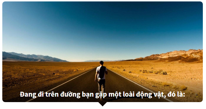 Bạn có tò mò nhân cách thứ hai nào đang trú ẩn trong mình?