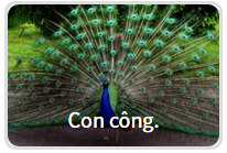 Bạn có tò mò nhân cách thứ hai nào đang trú ẩn trong mình?