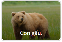 Bạn có tò mò nhân cách thứ hai nào đang trú ẩn trong mình?