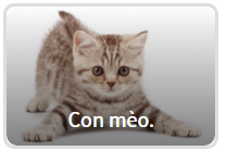 Bạn có tò mò nhân cách thứ hai nào đang trú ẩn trong mình?