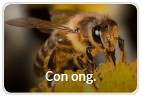 Bạn có tò mò nhân cách thứ hai nào đang trú ẩn trong mình?