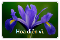 Bạn có tò mò nhân cách thứ hai nào đang trú ẩn trong mình?