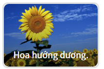 Bạn có tò mò nhân cách thứ hai nào đang trú ẩn trong mình?