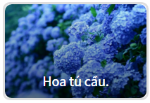 Bạn có tò mò nhân cách thứ hai nào đang trú ẩn trong mình?