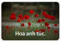 Bạn có tò mò nhân cách thứ hai nào đang trú ẩn trong mình?