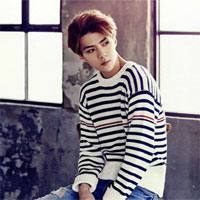 Giáo án Ngữ văn 12 bài Tổng kết phần tiếng việt: Lịch sử, đặc điểm loại hình và các phong cách ngôn ngữ