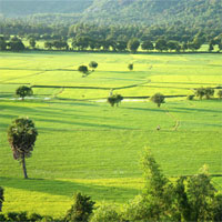 Giáo án Địa lý 8 bài Đặc điểm sinh vật Việt Nam