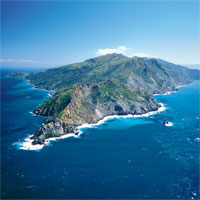 Giáo án Địa lý 9 bài 39: Phát triển tổng hợp kinh tế và bảo vệ môi trường biển đảo (tt)