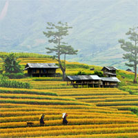 Giáo án Địa lý 8 bài Miền Tây Bắc và Bắc Trung Bộ