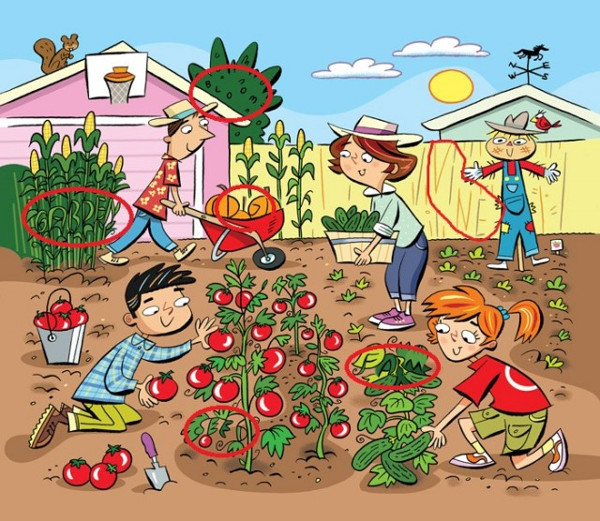 Thử tài tinh mắt