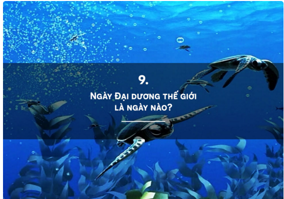 Tìm hiểu biển đảo quê hương qua câu hỏi trắc nghiệm