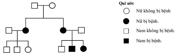 Đề thi thử đại học môn sinh
