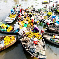 Giáo án Địa lý 9 bài Vùng Đồng Bằng Sông Cửu Long (tiếp)