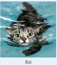 Trả lời hết 10 câu hỏi này, bạn sẽ biết mình phù hợp hẹn hò với sao nào trong "Hậu duệ mặt trời"!