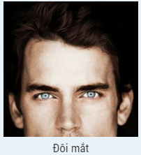 Trả lời hết 10 câu hỏi này, bạn sẽ biết mình phù hợp hẹn hò với sao nào trong "Hậu duệ mặt trời"!