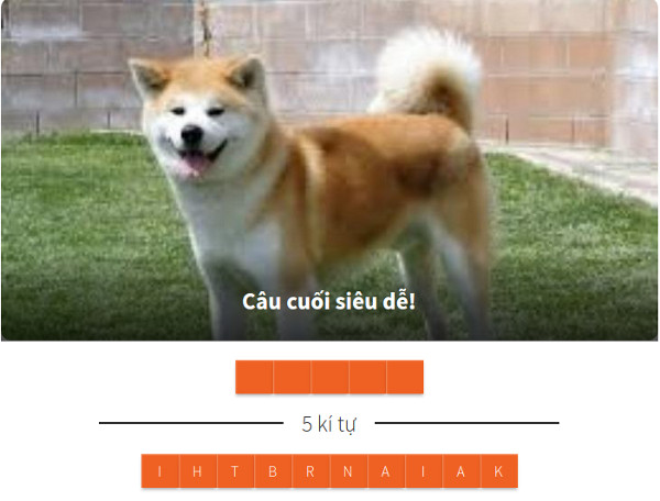 Nhìn hình đoán tên loài chó 