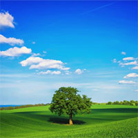 Giáo án Địa lý 10 bài 41: Môi trường và tài nguyên thiên nhiên