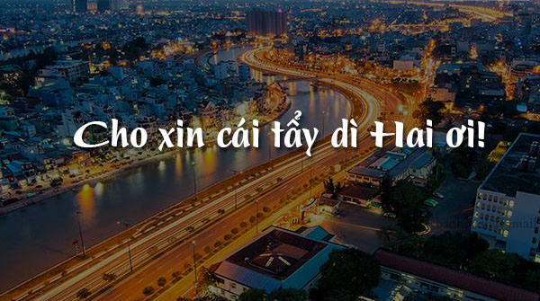 Đo độ hiểu biết về tiếng việt