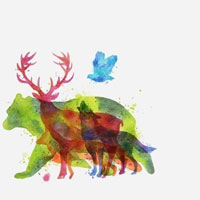 Bạn thấy con vật nào đầu tiên? Nó sẽ nói lên tính cách của bạn!