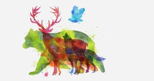 Bạn thấy con vật nào đầu tiên? Nó sẽ nói lên tính cách của bạn!