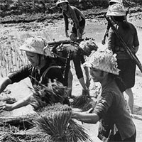 Giáo án Lịch sử 9 bài Xây dựng chủ nghĩa xã hội ở miền Bắc, đấu tranh chống đế quốc Mĩ và chính quyền Sài Gòn ở miền Nam (1954 - 1965) (tiếp)