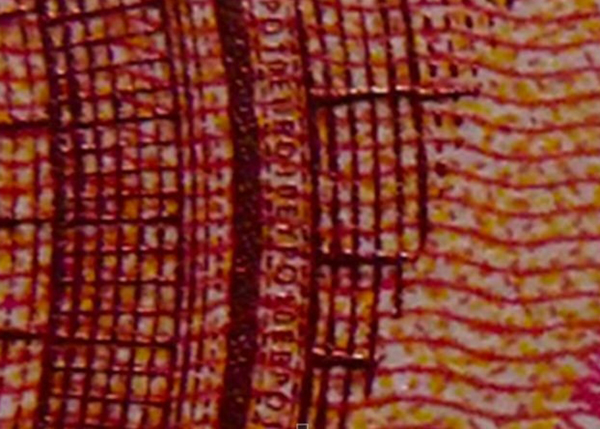 Thử tài suy đoán