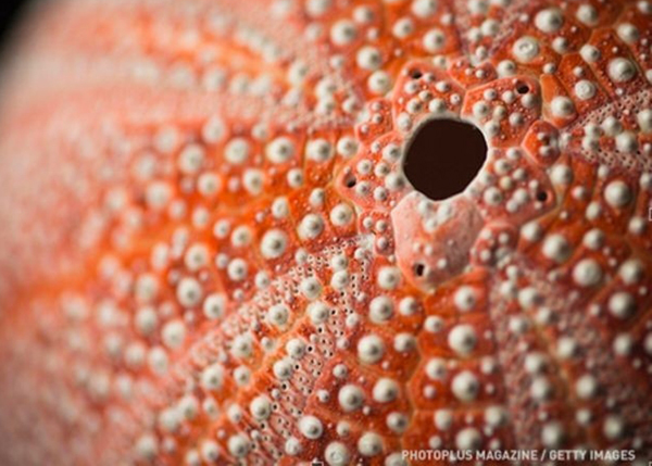 Thử tài suy đoán