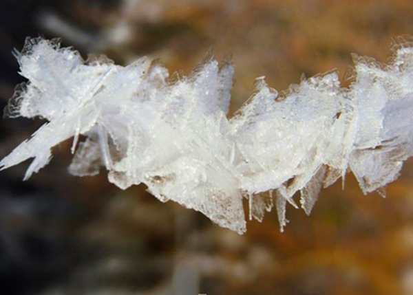 Thử tài suy đoán